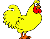 Dibuix Gall pintat per gallina