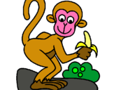Dibuix Mono pintat per Mònica