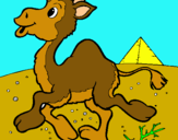 Dibuix Camell pintat per  JUDIT I NATALIA