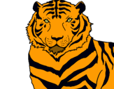 Dibuix Tigre pintat per tigre