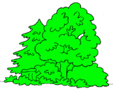 Dibuix Bosc pintat per arbres