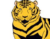 Dibuix Tigre pintat per  JUDIT I NATALIA