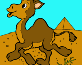 Dibuix Camell pintat per Carla  v.m.