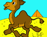 Dibuix Camell pintat per NÀDIA HUIX RATIA
