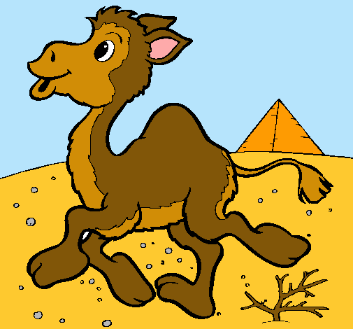 Dibuix Camell pintat per meritxell