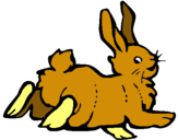 Dibuix Conill content  pintat per LLEBRE