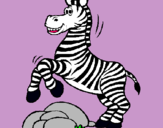 Dibuix Zebra saltant pedres pintat per martina mascaró