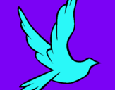 Dibuix Colom de la pau al vol  pintat per ariel