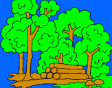 Dibuix Bosc pintat per un bosc
