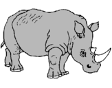 Dibuix Rinoceront pintat per ARNAU