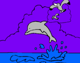 Dibuix Dofí i gavina pintat per alvaro