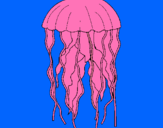 Dibuix Medusa pintat per  medusa 
