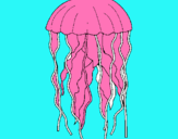 Dibuix Medusa pintat per janna