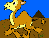 Dibuix Camell pintat per kathryn