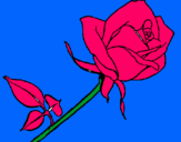 Dibuix Rosa pintat per valentina
