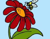 Dibuix Margarida amb abella pintat per wicháhpi