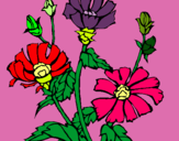 Dibuix Conjunt floral pintat per J. Faura