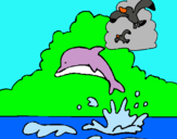 Dibuix Dofí i gavina pintat per Pepita
