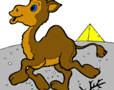Dibuix Camell pintat per lucia torres