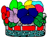 Dibuix Cistell de flors 12 pintat per abril