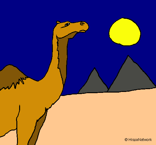 Dibuix Camell pintat per marc