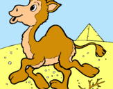Dibuix Camell pintat per gerard