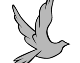 Dibuix Colom de la pau al vol  pintat per Angel  Domingo