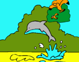 Dibuix Dofí i gavina pintat per IÑAKI