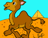 Dibuix Camell pintat per nàdia huix ratia