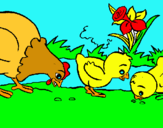 Dibuix Gallina i pollets pintat per Xavi