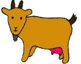 Dibuix Cabra pintat per NICOLE.
