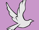 Dibuix Colom de la pau al vol  pintat per maria fernanda portel