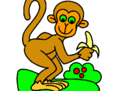 Dibuix Mono pintat per adria biosca
