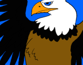 Dibuix Àguila Imperial Romana pintat per laur