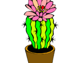 Dibuix Cactus amb flor pintat per joana
