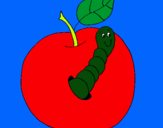 Dibuix Poma amb cuc pintat per jaume