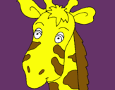 Dibuix Cara de girafa pintat per adria  costa  verges