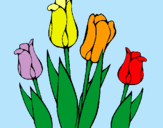 Dibuix Tulipes pintat per ainhoa
