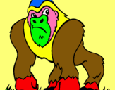 Dibuix Goril·la pintat per oriol