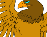 Dibuix Àguila Imperial Romana pintat per mariona pons