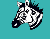 Dibuix Zebra II pintat per beth