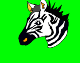Dibuix Zebra II pintat per PABLO