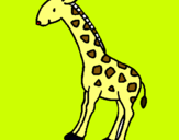 Dibuix Girafa pintat per ariadna