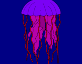 Dibuix Medusa pintat per 106