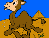 Dibuix Camell pintat per marcel
