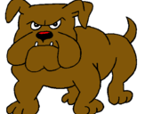 Dibuix Gos bulldog pintat per fortia