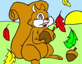 Dibuix Esquirol pintat per charlie