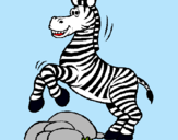 Dibuix Zebra saltant pedres pintat per francisca