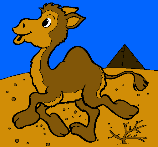 Dibuix Camell pintat per oriol