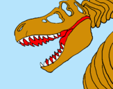 Dibuix Esquelet tiranosauri rex pintat per eloi torras prat